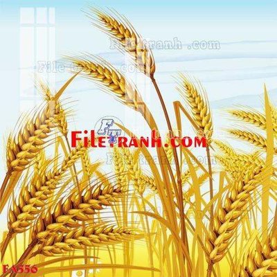 File in trần File gốc in bộ tranh decor treo tráng gương canvas FA556 (bản gốc) phong cảnh