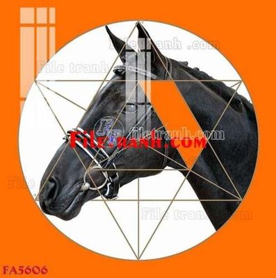 Download file gốc File gốc in bộ tranh decor treo tráng gương canvas FA5606 (in mica) trang trí