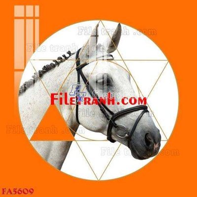 Download file File gốc in bộ tranh decor treo tráng gương canvas FA5609 (chất lượng in ấn)