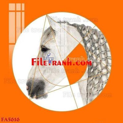 Chi tiết file tranh tráng gương File gốc in bộ tranh decor treo tráng gương canvas FA5616 (ảnh gốc)