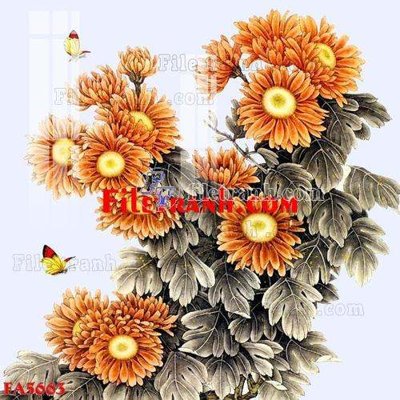 Ảnh gốc File gốc in bộ tranh decor treo tráng gương canvas FA5663 (độ nét cao) in mica