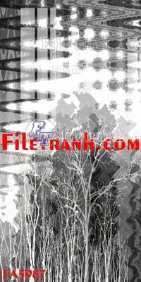 Download file File gốc in bộ tranh decor treo tráng gương canvas FA5987 (gốc) in mica cao cấp