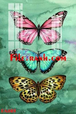 File tranh gốc File gốc in bộ tranh decor treo tráng gương canvas FA685 chủ đề hiện đại