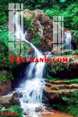 File in trần File gốc in bộ tranh decor treo tráng gương canvas FA903 (file gốc) hoa văn 3D