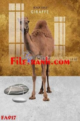 File gốc File gốc in bộ tranh decor treo tráng gương canvas FA917 (cho in 3D) độc đáo