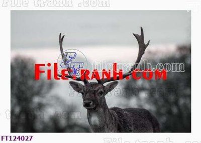 Download file File tranh bộ hiện đại FT124027 (gốc) in mica bàn thờ