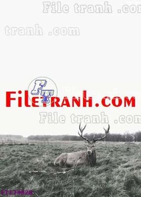 Tải file File tranh bộ hiện đại FT124028 (gốc) làm file thiết kế