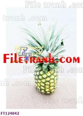 File PSD File tranh bộ hiện đại FT124042 (gốc) cho designer