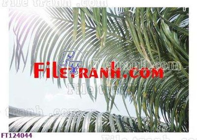 File in ấn File tranh bộ hiện đại FT124044 (bản gốc) chất lượng cao