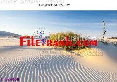 File tranh in trần File tranh bộ hiện đại FT124060 (ảnh gốc siêu nét)