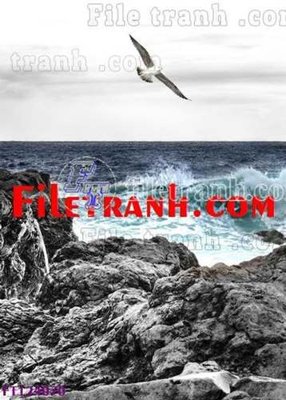 Download file File tranh bộ hiện đại FT124070 (chuẩn in) File tranh bộ hiện đại FT124070