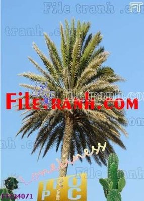 File tranh gốc PSD File tranh bộ hiện đại FT124071 còn nguyên layer