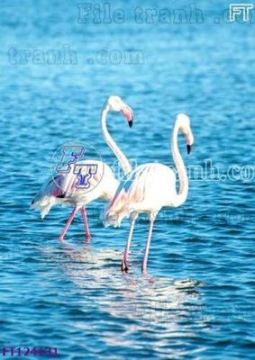 File ảnh File tranh bộ hiện đại FT124131 (gốc) in poster