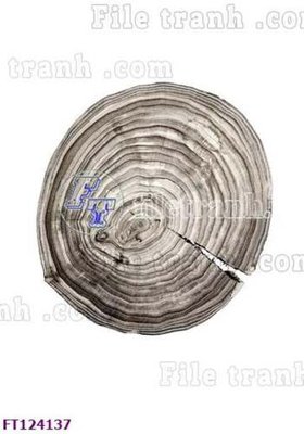 File in mica File tranh bộ hiện đại FT124137 (bản gốc) siêu trong