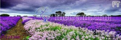 Tải file gốc File tranh bộ hiện đại FT124394 (in tráng gương) 3DFile gốc File tranh bộ hiện đại FT124394 (sẵn sàng in) chất lượng cao