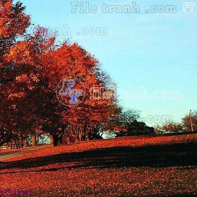 Tải file gốc in lụa File tranh bộ hiện đại FT124532 siêu nét