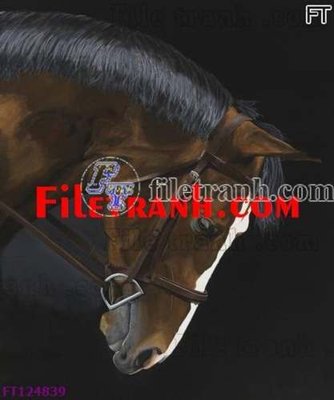 File tranh File tranh bộ hiện đại FT124839 (ảnh gốc) in trần xuyên sáng