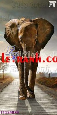 File in lụa File tranh bộ hiện đại FT124879 (hoa văn) File tranh bộ hiện đại FT124879