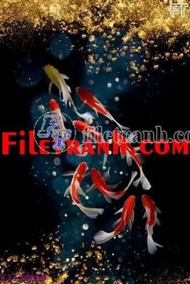 File tranh File tranh bộ hiện đại FT124959 (ảnh gốc) in trần nhà