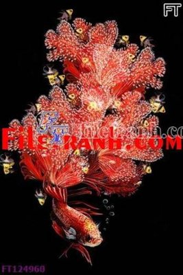 Ảnh gốc File tranh bộ hiện đại FT124960 (nét căng) in mica