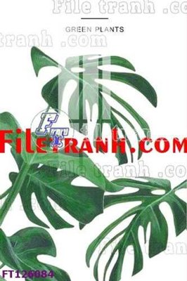 File tranh File tranh bộ hiện đại FT126084 (gốc) in film