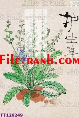Tệp tin gốc File tranh bộ hiện đại FT126249 (dùng cho in) File tranh bộ hiện đại FT126249