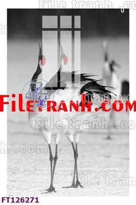 Mua file ảnh gốc File tranh bộ hiện đại FT126271 (chất lượng cao)