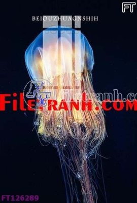 File tranh gốc File tranh bộ hiện đại FT126289 (bản quyền) độc đáo