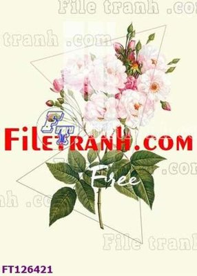 Chi tiết file tranh tráng gương File tranh bộ hiện đại FT126421 (ảnh gốc)