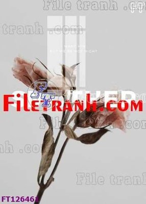 File gốc File tranh bộ hiện đại FT126461 (PNG) chất lượng cao