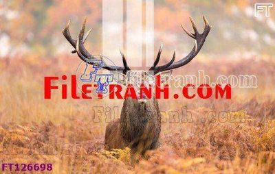 Ảnh gốc File tranh bộ hiện đại FT126698 (siêu chi tiết) để in ấn