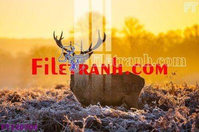 File gốc in ấn File tranh bộ hiện đại FT126706 độ phân giải cao