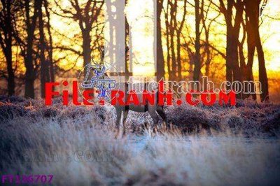 Tải file gốc in lụa File tranh bộ hiện đại FT126707 siêu nét