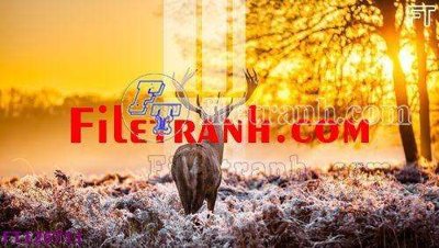 File ảnh File tranh bộ hiện đại FT126711 (gốc) dùng in Pano