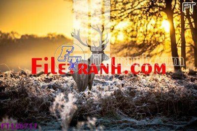 File gốc File tranh bộ hiện đại FT126717 (cho in ấn) từ Filetranh.com