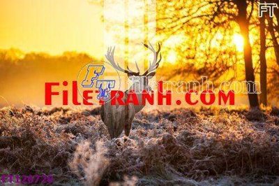 Tải file gốc File tranh bộ hiện đại FT126720 (in khổ lớn) không mờ