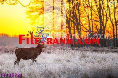 Download file gốc File tranh bộ hiện đại FT126721 (in mica) 3D