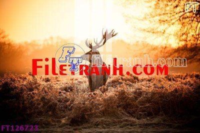 File tranh File tranh bộ hiện đại FT126723 (bản gốc) trang trí văn phòng