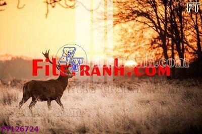 Tải file File tranh bộ hiện đại FT126724 (ảnh gốc) file AI/EPS