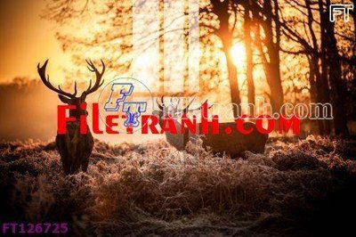 File tranh File tranh bộ hiện đại FT126725 (ảnh gốc) in trần 3D