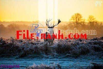 File PSD File tranh bộ hiện đại FT126726 (gốc) cho in quảng cáo