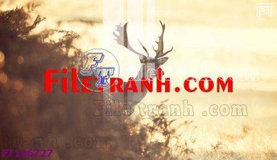 File tranh File tranh bộ hiện đại FT126727 (bản gốc) treo quán cafe