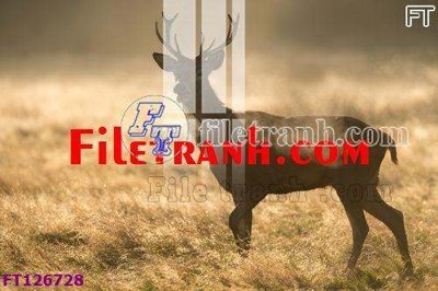 File gốc File tranh bộ hiện đại FT126728 (PNG) nền trong suốt