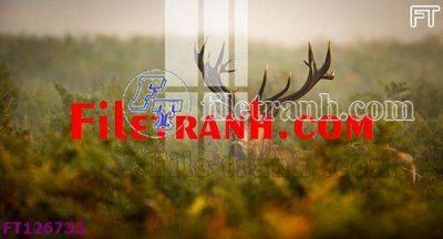 File tranh trang trí File tranh bộ hiện đại FT126732 (file gốc)