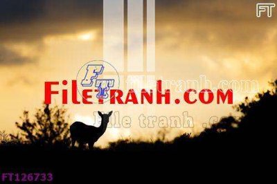 File gốc File tranh bộ hiện đại FT126733 (in lụa) chi tiết cao