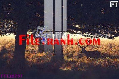 File in ấn File tranh bộ hiện đại FT126737 (bản gốc) sắc nét