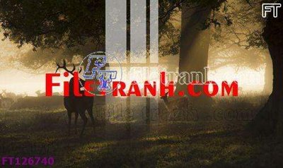 File in ấn File tranh bộ hiện đại FT126740 (bản gốc) sắc nét