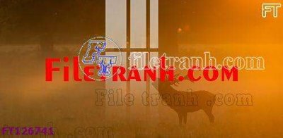 File in trần File tranh bộ hiện đại FT126741 (bản gốc) mây trời