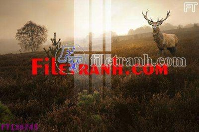 File gốc File tranh bộ hiện đại FT126745 (PSD/TIFF) độ phân giải cao