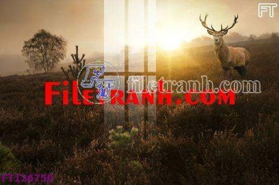 File gốc File tranh bộ hiện đại FT126750 (trang trí) cho phòng khách